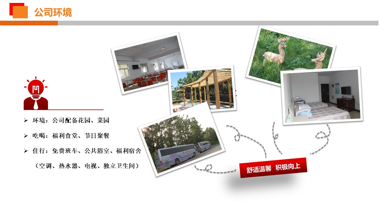 管家婆内部精准三肖